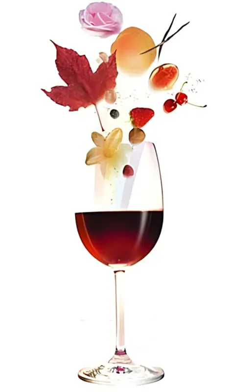 Weinnamen und Eigenschaften