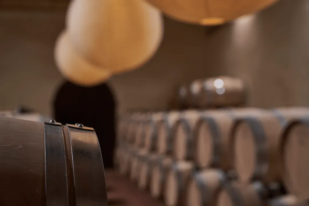 Image de Notre Histoire