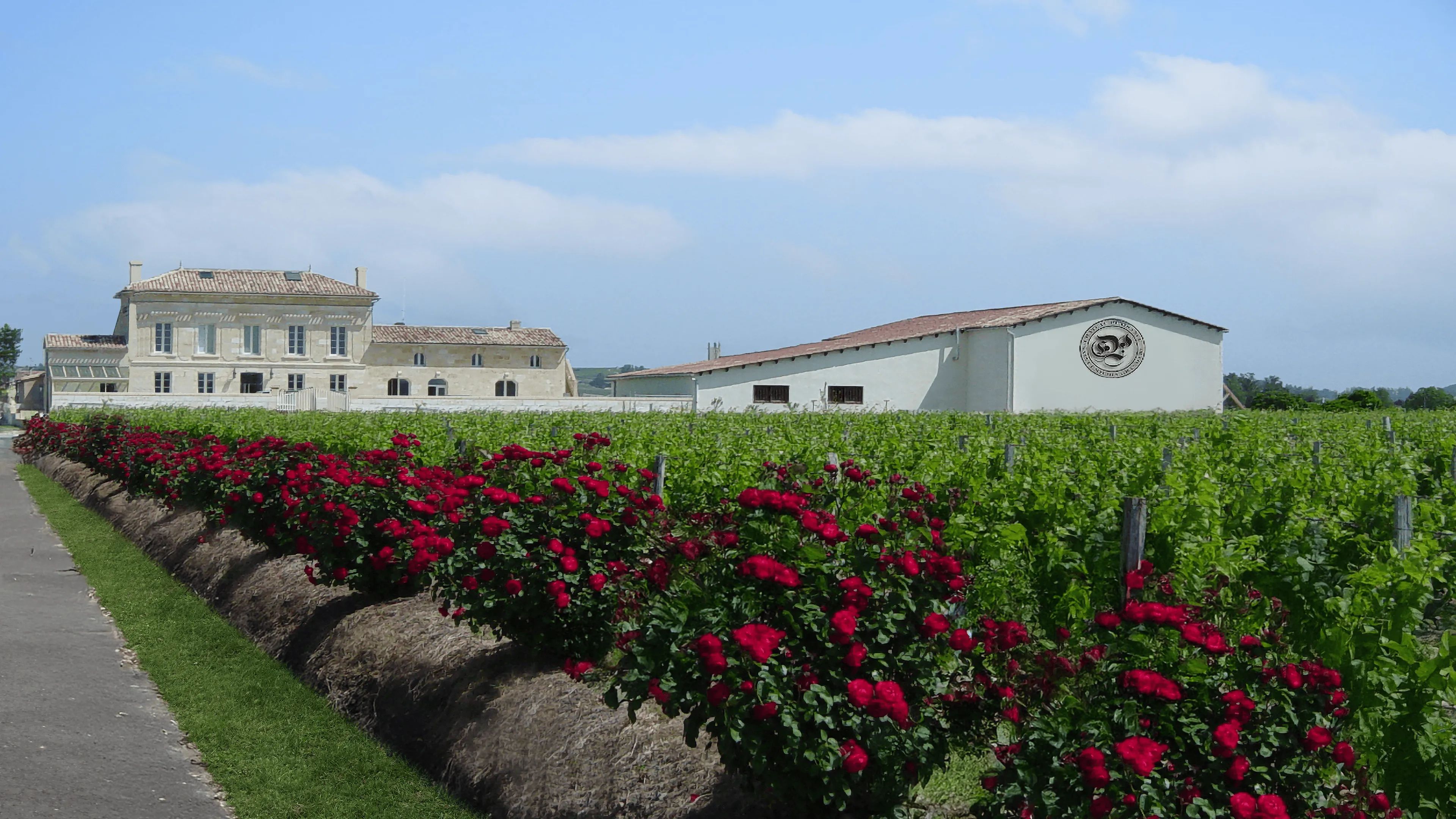 Das historische, familiengeführte Weingut Château Plaisance in Saint-Émilion, das seit 1881 Bordeaux Grand Cru Weine produziert. Zu sehen sind der Weinberg, das traditionelle Schloss und die moderne Kellerei unter blauem Himmel, mit roten Rosen im Vordergrund.