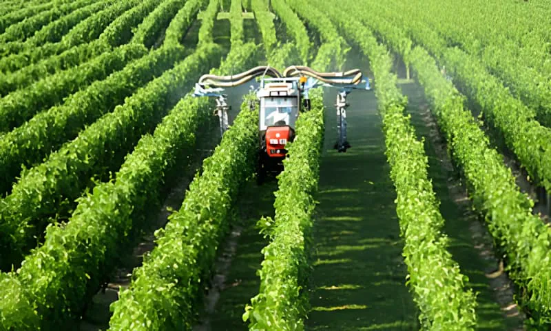 A tractor with spraying equipment working between rows of green grapevines, applying treatments to protect the crop.