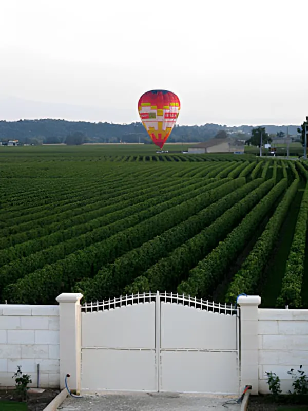 A colorful hot air balloon floating over a vast, green vineyard under a clear sky, with a white gate in the foreground at Château Plaisance.