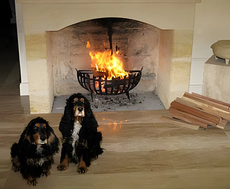 Deux cockers noirs et fauves assis devant un feu rugissant dans une cheminée en pierre.
