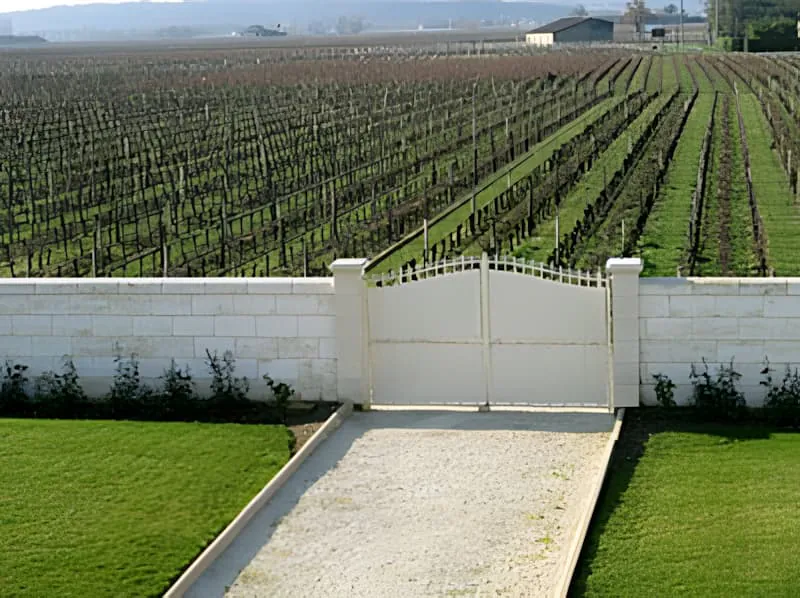 A formal entrance gate with white stone pillars leading into a vineyard, with neat rows of vines stretching into the distance under clear skies.