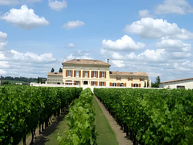 A view down a row of lush green grapevines leading to a large, traditional French château in the distance under a blue sky with fluffy clouds.