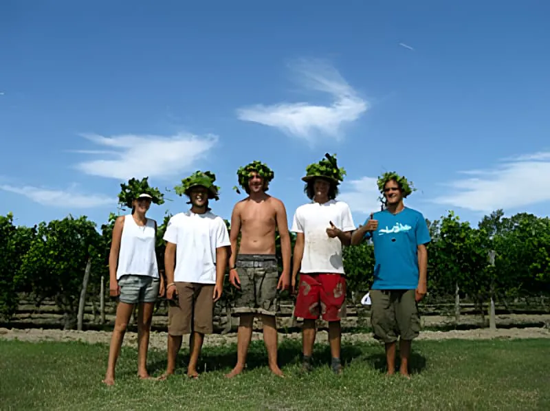 A group of five young vineyard workers stand in a line, smiling, with wreaths of grape leaves on their heads.
