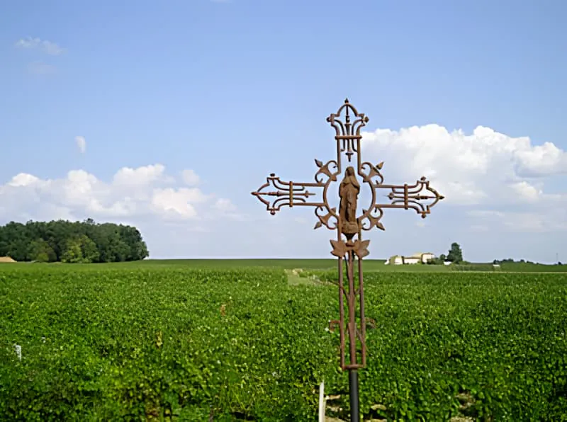 Une croix en fer ornée et rouillée se dresse devant un vaste vignoble vert sous un ciel bleu avec des nuages blancs.