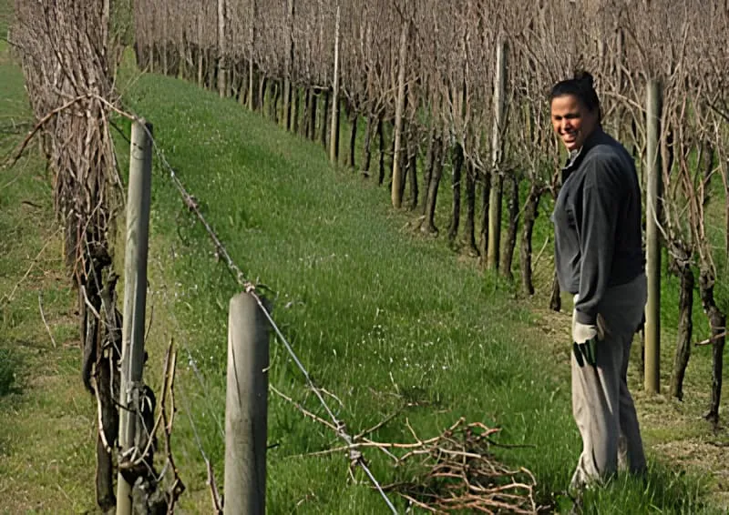 A smiling vineyard worker in dark clothing standing among bare vine rows with collected pruned wood, showing the positive spirit of the team.