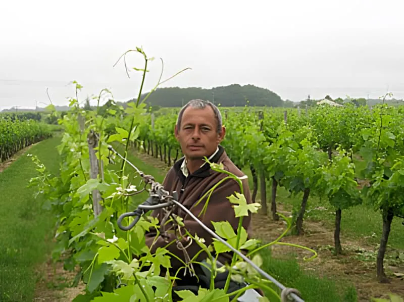 A middle-aged man in work clothes standing among green grapevines, holding vineyard tools and smiling at the camera.