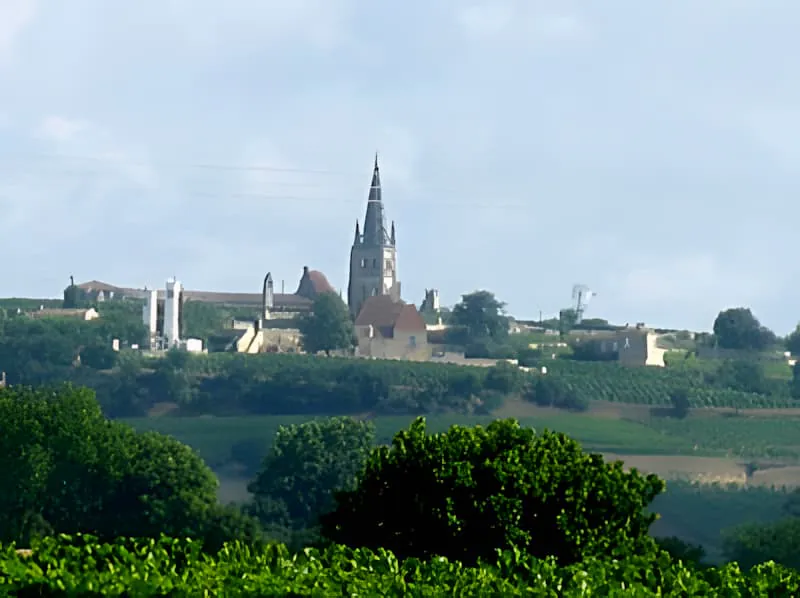 A picturesque view of the historic Saint-Émilion village with its distinctive church spire and medieval buildings surrounded by vineyards.