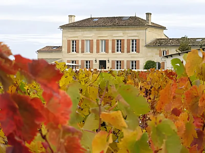 Château Plaisance house framed by vibrant autumn vineyard foliage