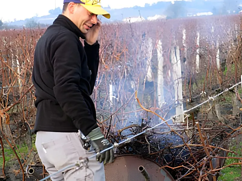 Worker burning pruned vine clippings in winter vineyard maintenance