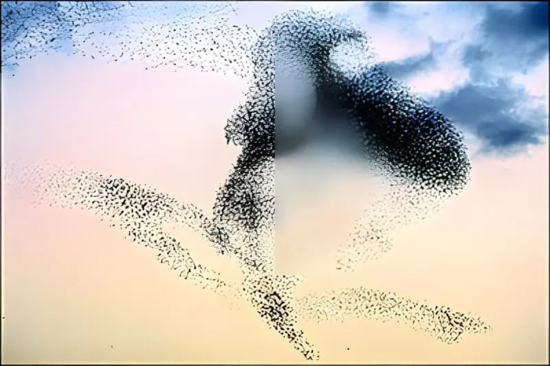 Artistic capture of starling murmuration against colorful sunset sky