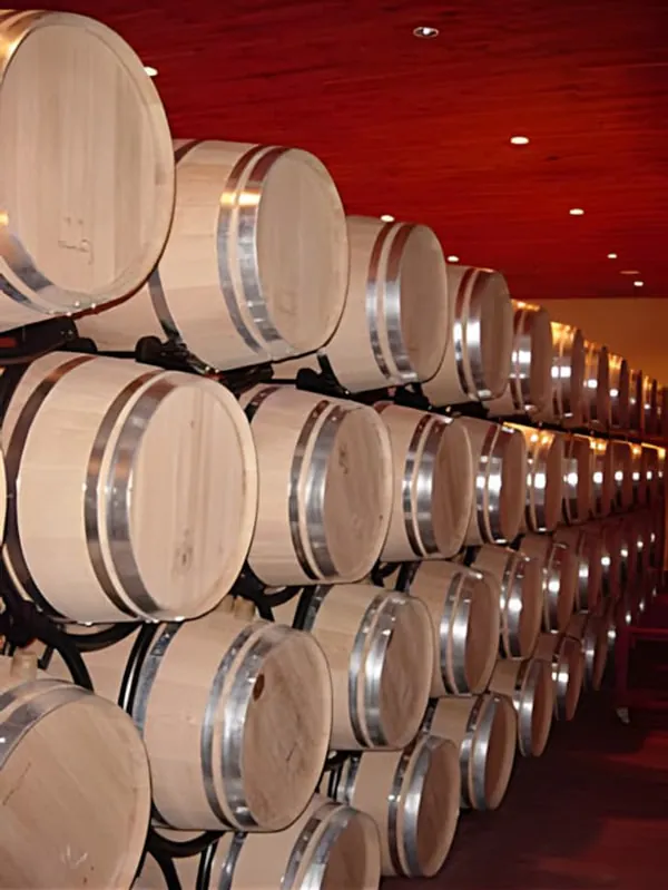 Barrel cellar with rows of French oak barrels aging wine