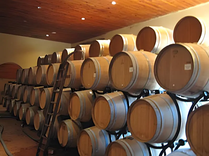 French oak barrel cellar with systematic aging setup for terroir wines